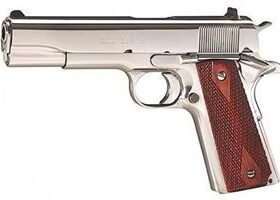 BRIGHT GOVERNMENT (45ACP)